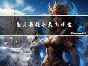 星月菩提冬天怎样盘