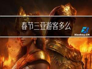 春节三亚游客多么