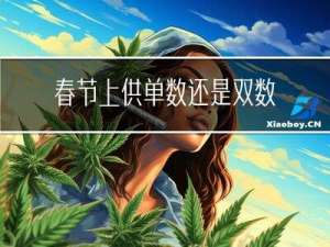 春节上供单数还是双数