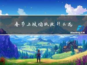 春节上坟烧纸放什么花