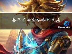 春节不回家安排什么活动