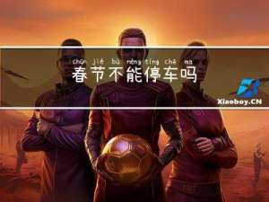 春节不能停车吗