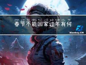 春节不能回家过年有何想法