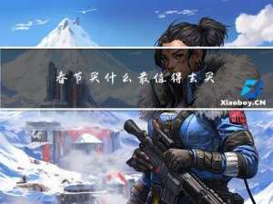 春节买什么最值得去买