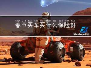 春节买车买什么保险好呢