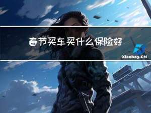 春节买车买什么保险好