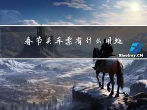 春节买车票有什么用处