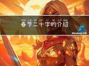 春节二十字的介绍