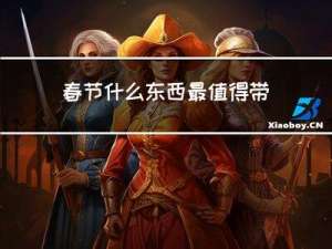 春节什么东西最值得带