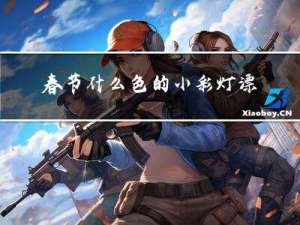 春节什么色的小彩灯漂亮