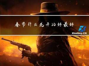 春节什么花开的好最好养