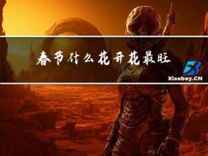 春节什么花开花最旺