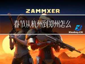 春节从杭州到郑州怎么买票