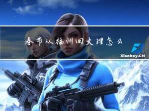 春节从福州回大理怎么坐车