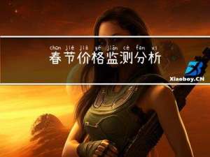 春节价格监测分析