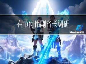 春节何伟副省长调研