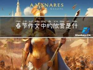 春节作文中的欣赏是什么