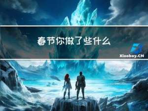 春节你做了些什么