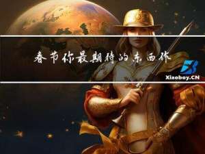 春节你最期待的东西作文