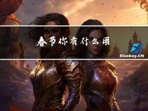 春节你有什么用