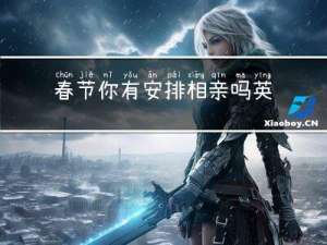 春节你有安排相亲吗英文