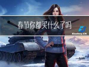 春节你都买什么了吗