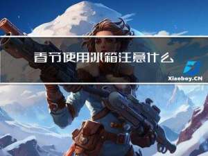 春节使用冰箱注意什么事项