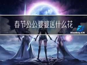 春节公公婆婆送什么花