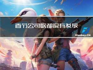 春节公司啥都没有发放