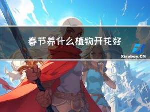 春节养什么植物开花好