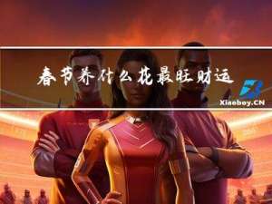 春节养什么花最旺财运