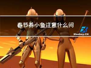 春节养小鱼注意什么问题