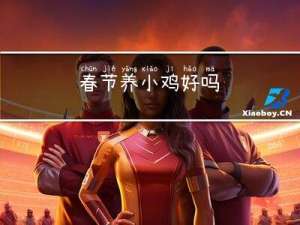 春节养小鸡好吗