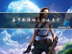 春节养殖场应该注意什么