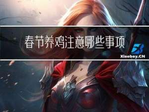 春节养鸡注意哪些事项