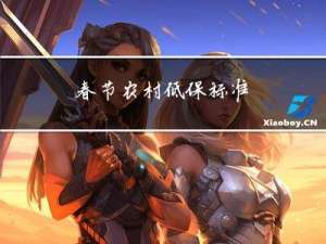 春节农村低保标准