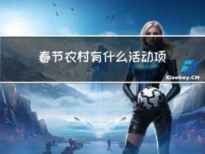 春节农村有什么活动项目