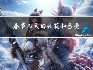春节几天的收获和感受英语