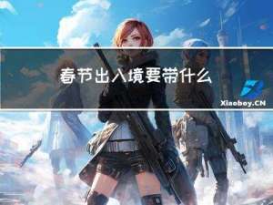 春节出入境要带什么