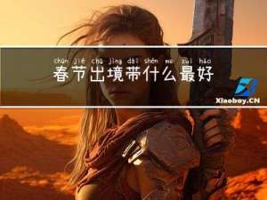 春节出境带什么最好