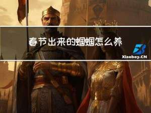 春节出来的蝈蝈怎么养