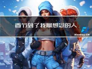 春节到了我最想念的人英语