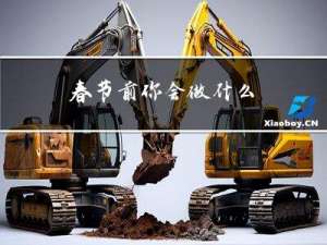 春节前你会做什么