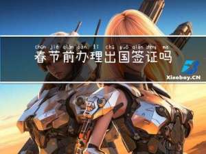 春节前办理出国签证吗