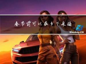 春节前可以在乡下采摘什么