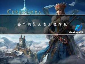 春节前怎么在土里种蒜