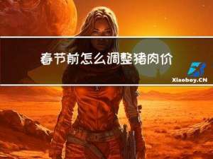 春节前怎么调整猪肉价格