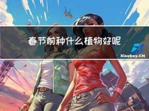 春节前种什么植物好呢