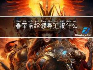 春节前给领导汇报什么内容