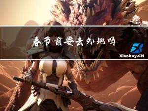 春节前要去外地吗